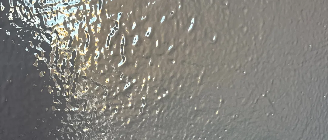 Close-up of freshly spray-applied elastomeric waterproofing coating showing seamless texture